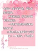 大便当饭,小便当菜 大便当饭,小便当菜