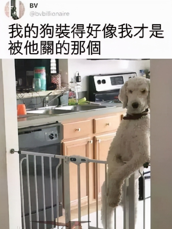 神回复:男朋友对我很色,我该怎么办?神评真是好办法 神回复:男朋友对我很色,我该怎么办?神评真是好办法