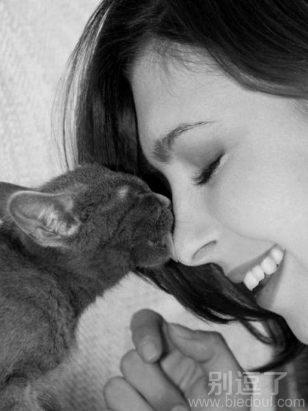 舔舔 甜蜜,美女与猫 舔舔 甜蜜,美女与猫