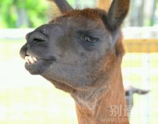 人家好屌啊!!! 人家好屌啊!!!