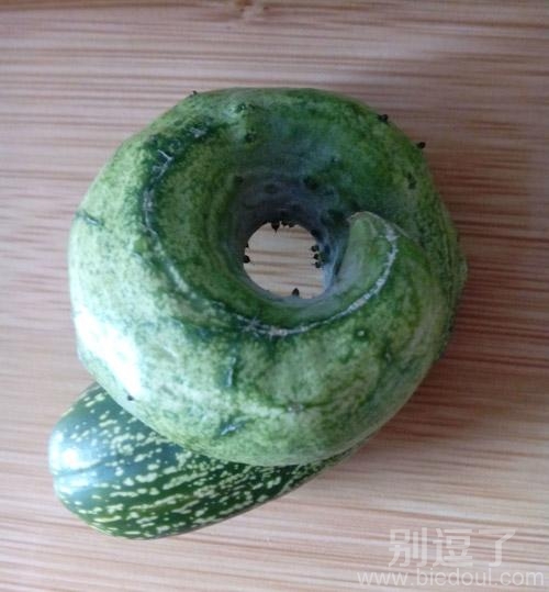 盘起来的黄瓜。。 盘起来的黄瓜。。