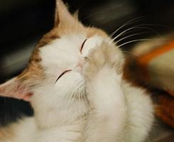 美死了，有啥好事呢