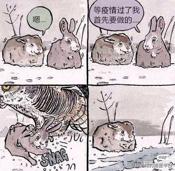 轻松一刻:你说爱情三十六计,终是输给了七十二栋! 轻松一刻:你说爱情三十六计,终是输给了七十二栋!