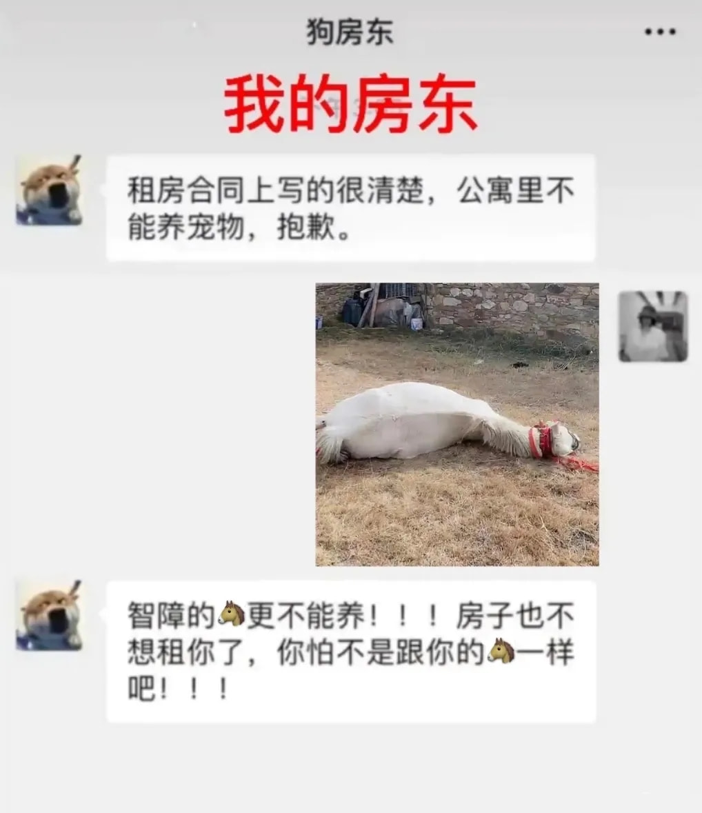 轻松一刻:你说爱情三十六计,终是输给了七十二栋! 轻松一刻:你说爱情三十六计,终是输给了七十二栋!