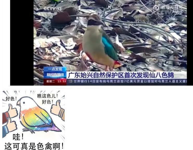轻松一刻:你说爱情三十六计,终是输给了七十二栋! 轻松一刻:你说爱情三十六计,终是输给了七十二栋!