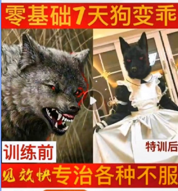 轻松一刻:你说爱情三十六计,终是输给了七十二栋! 轻松一刻:你说爱情三十六计,终是输给了七十二栋!