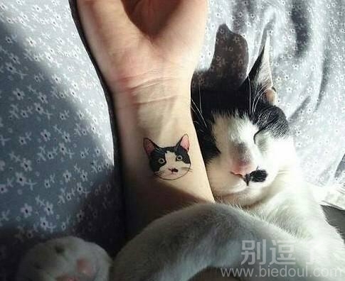 我一直都是这么任性