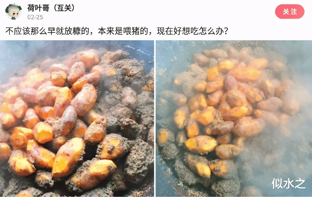 “为什么癌细胞要杀死人,人死了癌细胞不是也死了吗?”评论简单粗暴! “为什么癌细胞要杀死人,人死了癌细胞不是也死了吗?”评论简单粗暴!