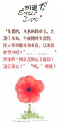 让我保护你好吗? 让我保护你好吗?