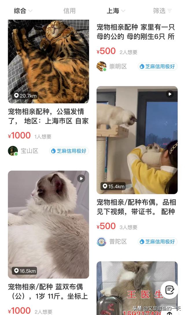 居家隔离,发现了财富密码,嘿嘿 居家隔离,发现了财富密码,嘿嘿