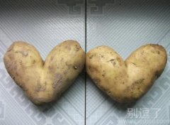 这是土豆的心!! 这是土豆的心!!