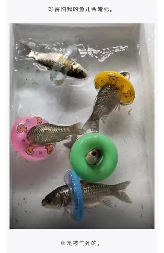 神回复:如果李白喝现代的酒,会写出什么诗? 神回复:如果李白喝现代的酒,会写出什么诗?