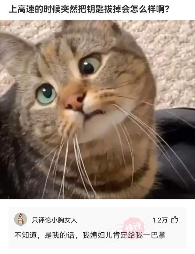 神回复:如果李白喝现代的酒,会写出什么诗? 神回复:如果李白喝现代的酒,会写出什么诗?