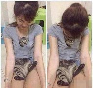 喵你咋那么不老实呢