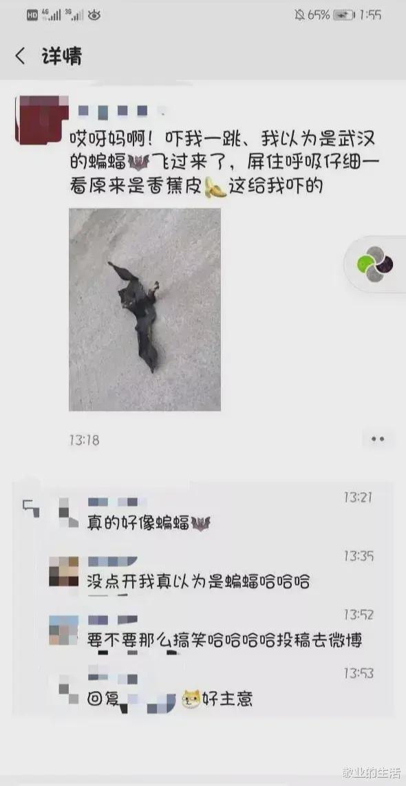 “第一眼差点看成蝙蝠,我真的快被逼疯了!” “第一眼差点看成蝙蝠,我真的快被逼疯了!”