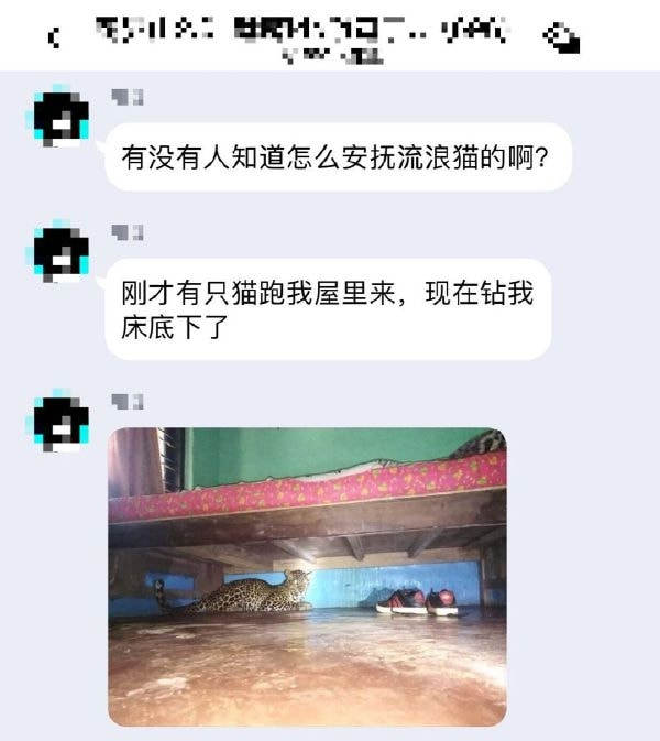 轻松一刻:如果你拥有1亿,是不是很多问题都解决了 轻松一刻:如果你拥有1亿,是不是很多问题都解决了