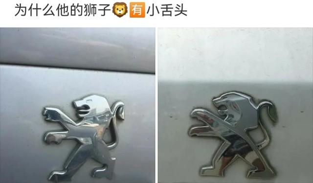 神回复:为什么去爬山不能穿瑜伽裤? 神回复:为什么去爬山不能穿瑜伽裤?