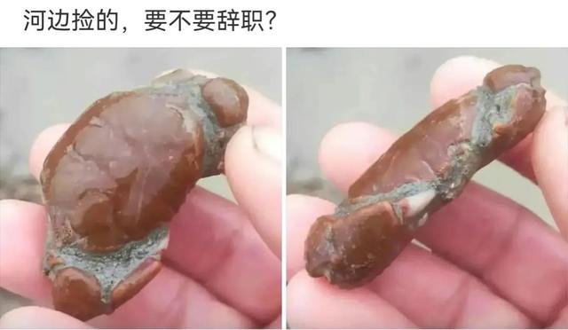 神回复:为什么去爬山不能穿瑜伽裤? 神回复:为什么去爬山不能穿瑜伽裤?