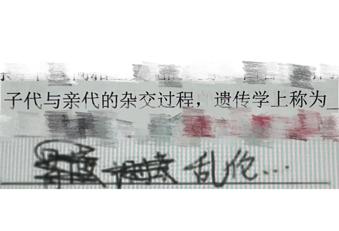 定制款“性感镂空睡衣”见过吗？本想在床上给男友的惊喜，看完第二天再也没回过家...