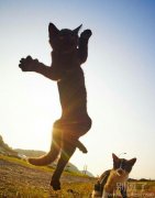 天气很棒一起粗来浪