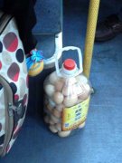 春节完美落幕,搞笑图片新鲜出炉。