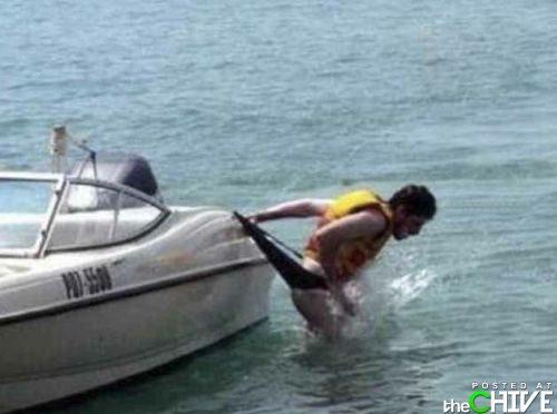 以你的智慧,这些搞笑趣图一定能让你笑开怀。