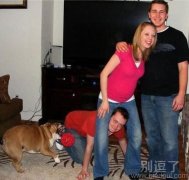 连狗狗都看不下去了