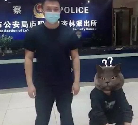 轻松一刻:给汽车加食用油,这招到底能不能行? 轻松一刻:给汽车加食用油,这招到底能不能行?