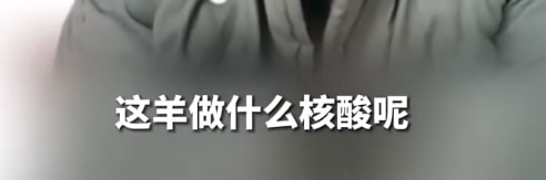 轻松一刻:给汽车加食用油,这招到底能不能行? 轻松一刻:给汽车加食用油,这招到底能不能行?
