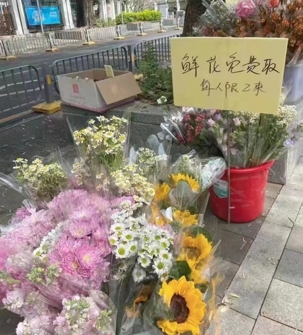 轻松一刻:给汽车加食用油,这招到底能不能行? 轻松一刻:给汽车加食用油,这招到底能不能行?