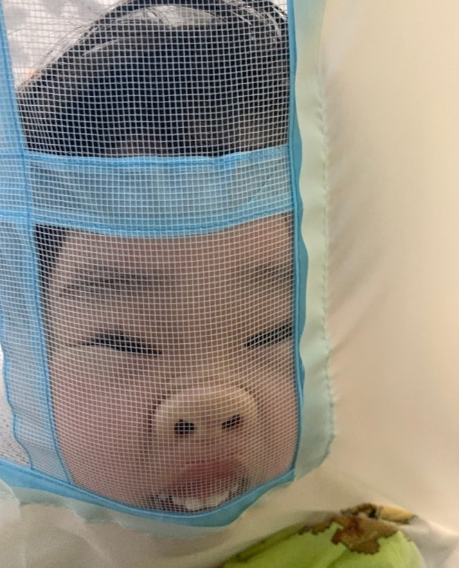 轻松一刻:给汽车加食用油,这招到底能不能行? 轻松一刻:给汽车加食用油,这招到底能不能行?