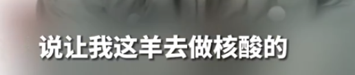 轻松一刻:给汽车加食用油,这招到底能不能行? 轻松一刻:给汽车加食用油,这招到底能不能行?