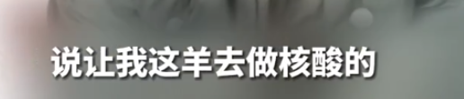 轻松一刻：给汽车加食用油，这招到底能不能行？