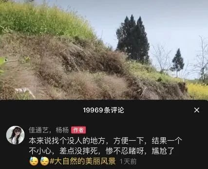 轻松一刻:给汽车加食用油,这招到底能不能行? 轻松一刻:给汽车加食用油,这招到底能不能行?