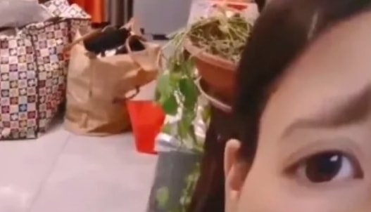 轻松一刻:给汽车加食用油,这招到底能不能行? 轻松一刻:给汽车加食用油,这招到底能不能行?
