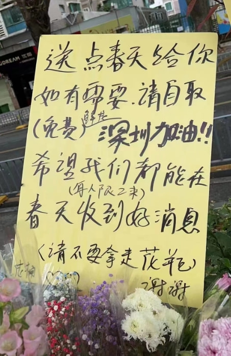 轻松一刻:给汽车加食用油,这招到底能不能行? 轻松一刻:给汽车加食用油,这招到底能不能行?