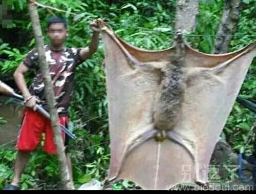 有点看不懂它的意思 有点看不懂它的意思