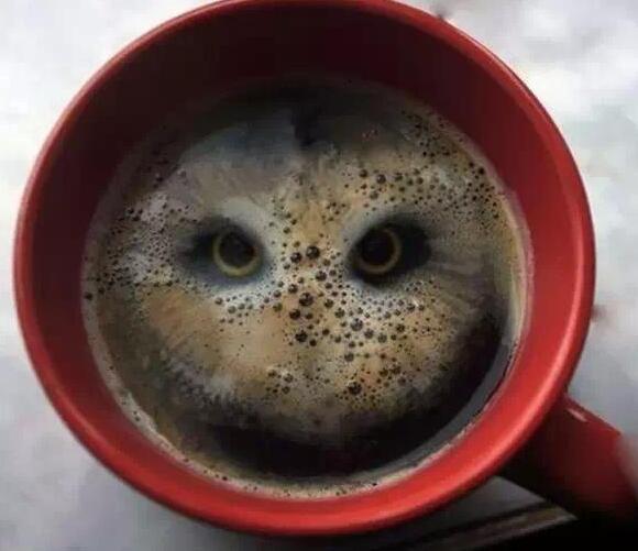 咖啡图案恶搞图片 咖啡图案恶搞图片