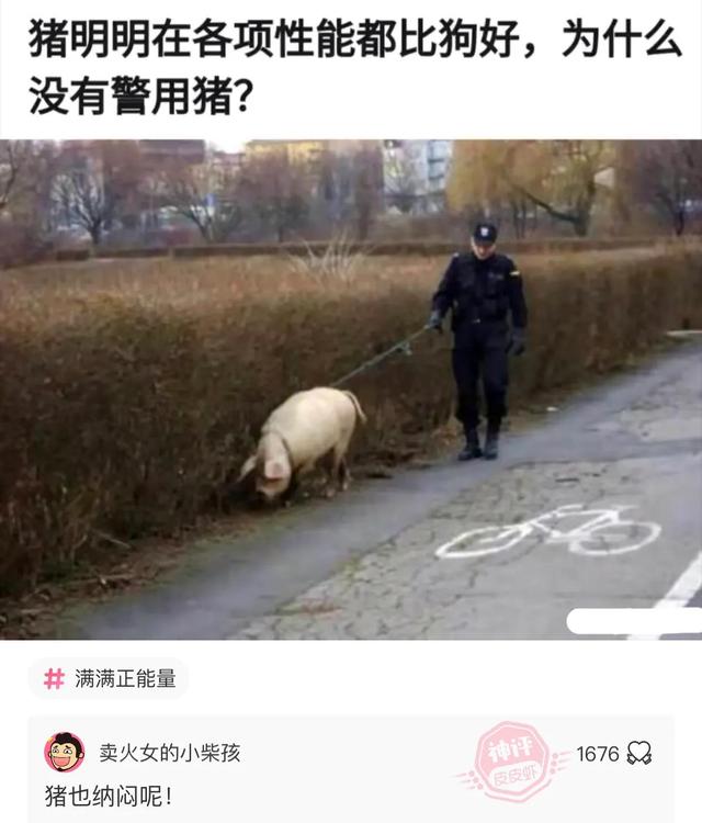 爆笑神评:今天看病的这医生有点眼熟,好像在哪里见过? 爆笑神评:今天看病的这医生有点眼熟,好像在哪里见过?