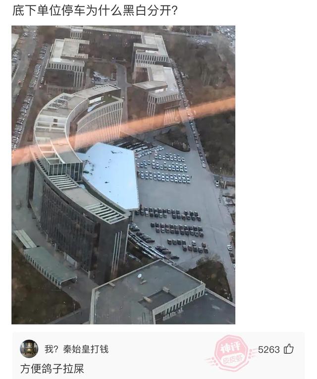 爆笑神评:今天看病的这医生有点眼熟,好像在哪里见过? 爆笑神评:今天看病的这医生有点眼熟,好像在哪里见过?