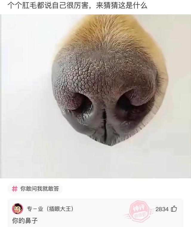 爆笑神评:今天看病的这医生有点眼熟,好像在哪里见过? 爆笑神评:今天看病的这医生有点眼熟,好像在哪里见过?