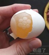鸡蛋的世界这么美，梅花烙