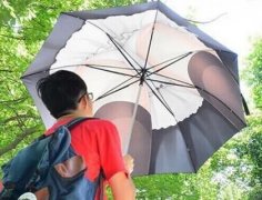 我也想来把这样的伞