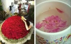 人与人之间的区别