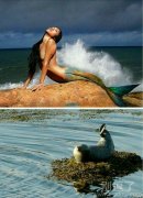 在海上的美女。。 在海上的美女。。