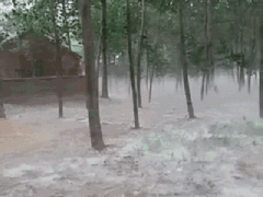 真的好想烤烤火呀 真的好想烤烤火呀