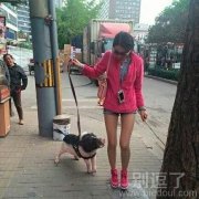 二师兄都被美女当成宠物养了