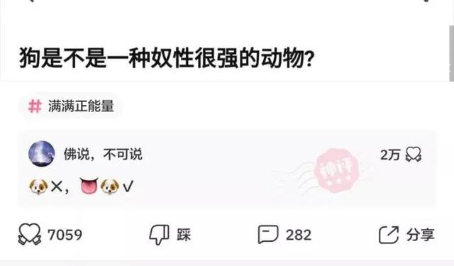 神评爆笑合集:如果我把靖国神社炸了,国家会保护我吗?神评绝了 神评爆笑合集:如果我把靖国神社炸了,国家会保护我吗?神评绝了