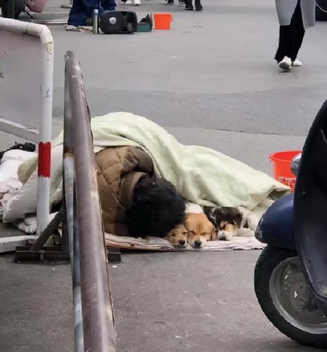 神回复:用横幅发语音这是我没想到的 神回复:用横幅发语音这是我没想到的