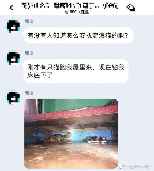 神回复:用横幅发语音这是我没想到的 神回复:用横幅发语音这是我没想到的
